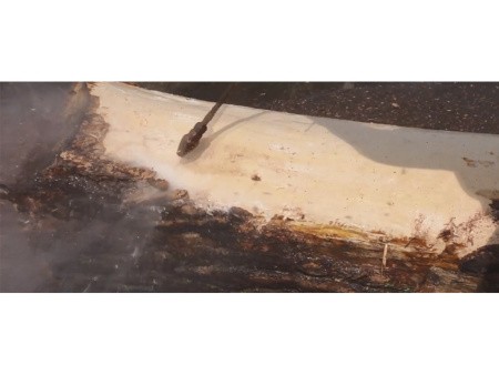 OERTZEN Mobil 500 АВД, ошкуривание бревна OERTZEN Mobil 500 АВД, ошкуривание бревна